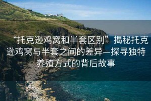 “托克遜雞窩和半套區別”揭秘托克遜雞窩與半套之間的差異—探尋獨特養殖方式的背后故事