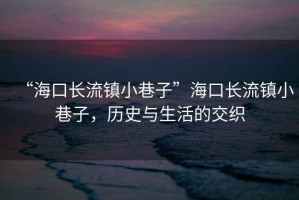 “海口長流鎮小巷子”海口長流鎮小巷子，歷史與生活的交織
