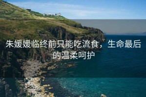 朱媛媛臨終前只能吃流食，生命最后的溫柔呵護
