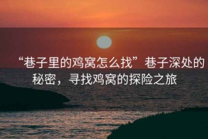 “巷子里的雞窩怎么找”巷子深處的秘密，尋找雞窩的探險之旅