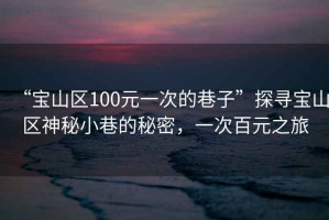 “寶山區100元一次的巷子”探尋寶山區神秘小巷的秘密，一次百元之旅