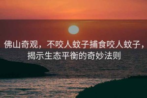 佛山奇觀，不咬人蚊子捕食咬人蚊子，揭示生態平衡的奇妙法則
