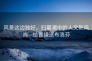 風景這邊獨好，掃墓潮中的人文新風尚—給曹操送布洛芬