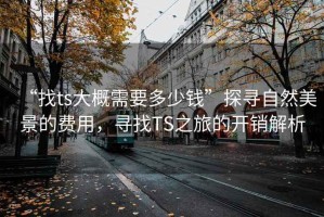 “找ts大概需要多少錢”探尋自然美景的費用，尋找TS之旅的開銷解析