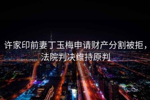許家印前妻丁玉梅申請財產分割被拒，法院判決維持原判