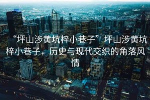 “坪山涉黃坑梓小巷子”坪山涉黃坑梓小巷子，歷史與現代交織的角落風情