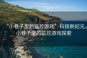 “小巷子里的監控游戲”科技新紀元，小巷子里的監控游戲探索