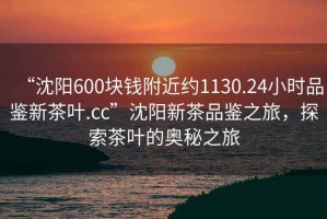 “沈陽600塊錢附近約1130.24小時品鑒新茶葉.cc”沈陽新茶品鑒之旅，探索茶葉的奧秘之旅