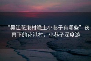 “吳江花港村晚上小巷子有哪些”夜幕下的花港村，小巷子深度游