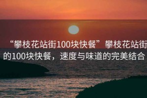 “攀枝花站街100塊快餐”攀枝花站街的100塊快餐，速度與味道的完美結合