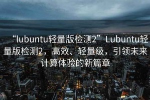 “l(fā)ubuntu輕量版檢測2”Lubuntu輕量版檢測2，高效、輕量級，引領(lǐng)未來計算體驗的新篇章