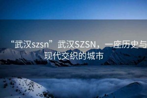 “武漢szsn”武漢SZSN，一座歷史與現代交織的城市