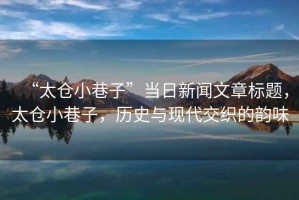 “太倉小巷子”當日新聞文章標題，太倉小巷子，歷史與現代交織的韻味