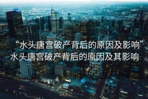 “水頭唐宮破產背后的原因及影響”水頭唐宮破產背后的原因及其影響