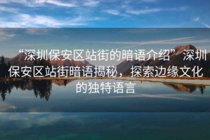“深圳保安區站街的暗語介紹”深圳保安區站街暗語揭秘，探索邊緣文化的獨特語言