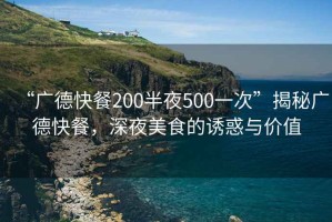 “廣德快餐200半夜500一次”揭秘廣德快餐，深夜美食的誘惑與價值