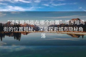 “浦東暗雞街在哪個位置”浦東暗雞街的位置揭秘，深度探索城市隱秘角落