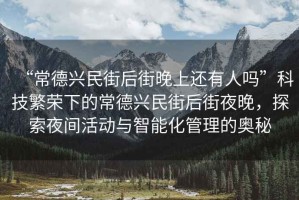 “常德興民街后街晚上還有人嗎”科技繁榮下的常德興民街后街夜晚，探索夜間活動與智能化管理的奧秘