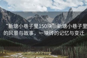 “新塘小巷子里150塊”新塘小巷子里的風景與故事，一塊磚的記憶與變遷