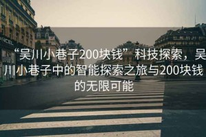 “吳川小巷子200塊錢”科技探索，吳川小巷子中的智能探索之旅與200塊錢的無限可能