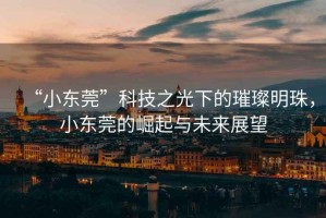 “小東莞”科技之光下的璀璨明珠，小東莞的崛起與未來展望