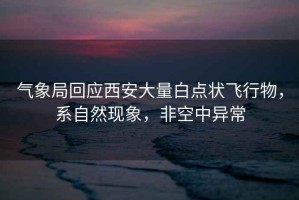氣象局回應(yīng)西安大量白點狀飛行物，系自然現(xiàn)象，非空中異常
