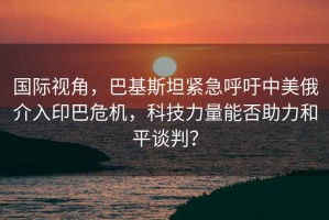 國際視角，巴基斯坦緊急呼吁中美俄介入印巴危機，科技力量能否助力和平談判？