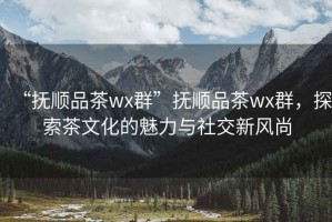 “撫順品茶wx群”撫順品茶wx群，探索茶文化的魅力與社交新風(fēng)尚