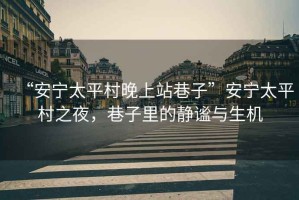 “安寧太平村晚上站巷子”安寧太平村之夜，巷子里的靜謐與生機(jī)