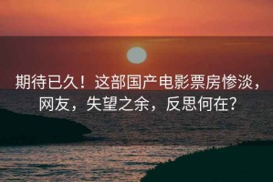 期待已久！這部國產電影票房慘淡，網友，失望之余，反思何在？