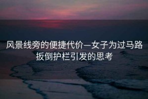 風(fēng)景線旁的便捷代價(jià)—女子為過(guò)馬路扳倒護(hù)欄引發(fā)的思考