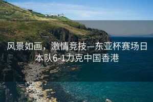 風景如畫，激情競技—東亞杯賽場日本隊6-1力克中國香港