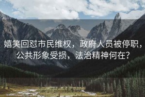 嬉笑回懟市民維權，政府人員被停職，公共形象受損，法治精神何在？