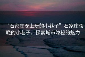 “石家莊晚上玩的小巷子”石家莊夜晚的小巷子，探索城市隱秘的魅力