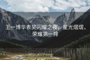 王一博華表獎閃耀之夜，星光熠熠，榮耀第一排