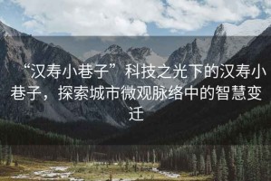 “漢壽小巷子”科技之光下的漢壽小巷子，探索城市微觀脈絡中的智慧變遷
