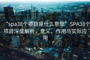 “spa38個項目是什么意思”SPA38個項目深度解析，意義、作用與實際應用
