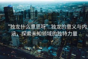 “獨龍什么意思呀”獨龍的意義與內涵，探索未知領域的獨特力量