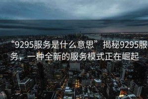 “9295服務(wù)是什么意思”揭秘9295服務(wù)，一種全新的服務(wù)模式正在崛起