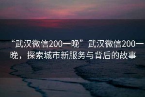 “武漢微信200一晚”武漢微信200一晚，探索城市新服務(wù)與背后的故事