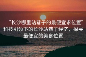 “長沙哪里站巷子的最便宜求位置”科技引領下的長沙站巷子經濟，探尋最便宜的美食位置