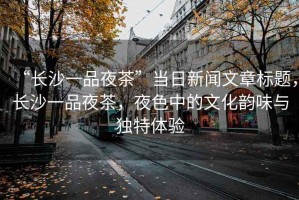 “長沙一品夜茶”當日新聞文章標題，長沙一品夜茶，夜色中的文化韻味與獨特體驗