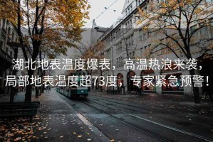 湖北地表溫度爆表，高溫熱浪來襲，局部地表溫度超73度，專家緊急預警！