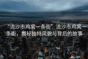 “流沙市雞窩一條街”流沙市雞窩一條街，揭秘獨特風貌與背后的故事