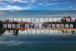 “株洲快餐除了合泰還有哪里”株洲快餐新探，除了合泰，還有哪些美食勝地？科技與美食的完美結合之旅