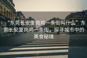 “東莞長安廈崗雞一條街叫什么”東莞長安廈崗雞一條街，探尋城市中的美食秘境