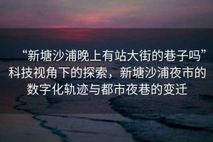 “新塘沙浦晚上有站大街的巷子嗎”科技視角下的探索，新塘沙浦夜市的數字化軌跡與都市夜巷的變遷