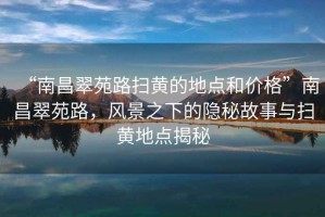 “南昌翠苑路掃黃的地點和價格”南昌翠苑路，風景之下的隱秘故事與掃黃地點揭秘