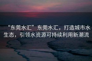 “東莞水匯”東莞水匯，打造城市水生態(tài)，引領水資源可持續(xù)利用新潮流