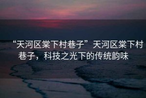“天河區棠下村巷子”天河區棠下村巷子，科技之光下的傳統韻味